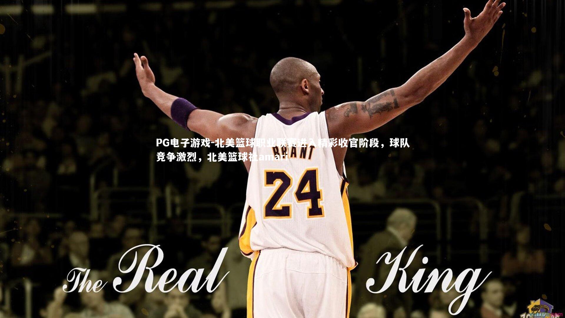 PG电子游戏-北美篮球职业联赛进入精彩收官阶段，球队竞争激烈，北美篮球社amari