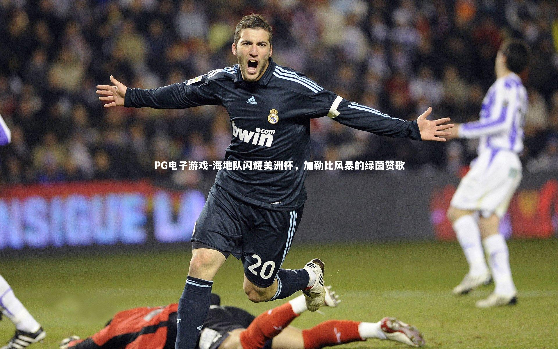 PG电子游戏-海地队闪耀美洲杯，加勒比风暴的绿茵赞歌